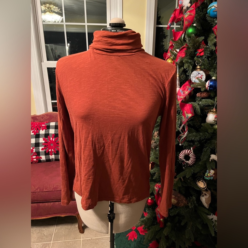 Madewell turtleneck shirt
